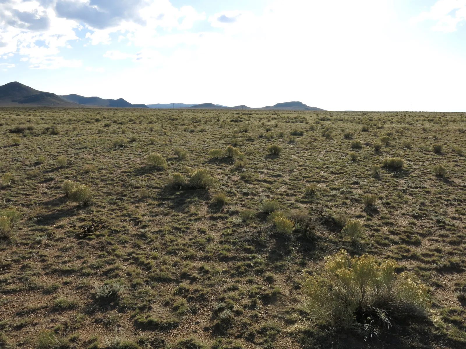 County Maintained Road in Costilla County, CO