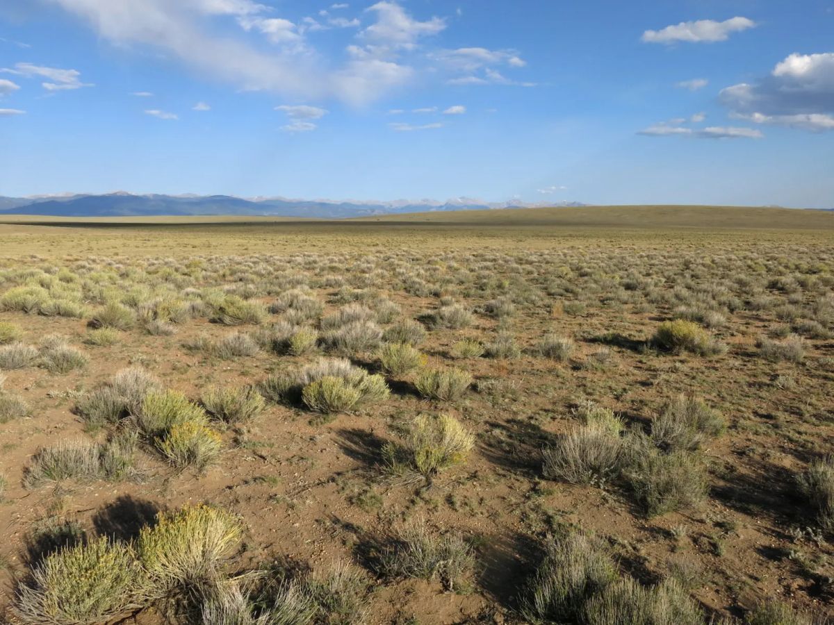 Decorative background for County Maintained Road image 6