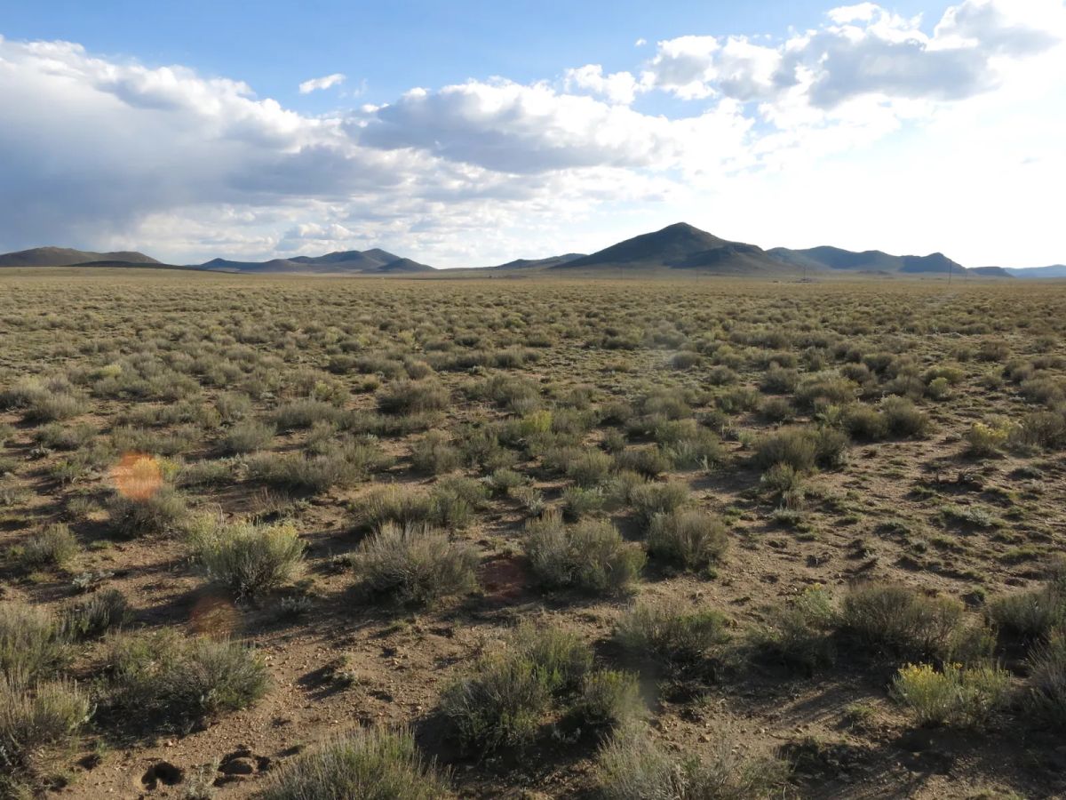 Decorative background for County Maintained Road image 7