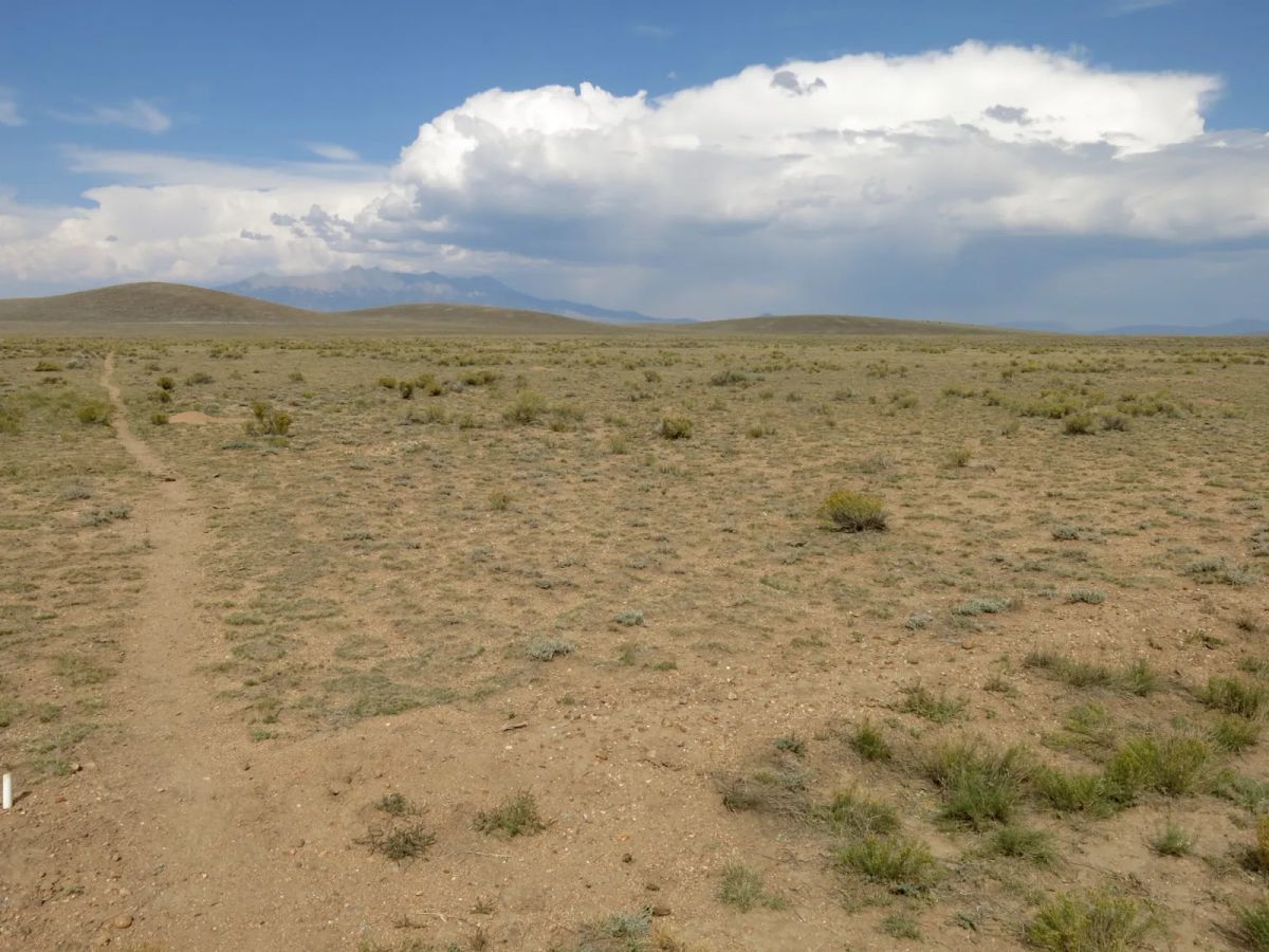 Decorative background for County Maintained Road image 8