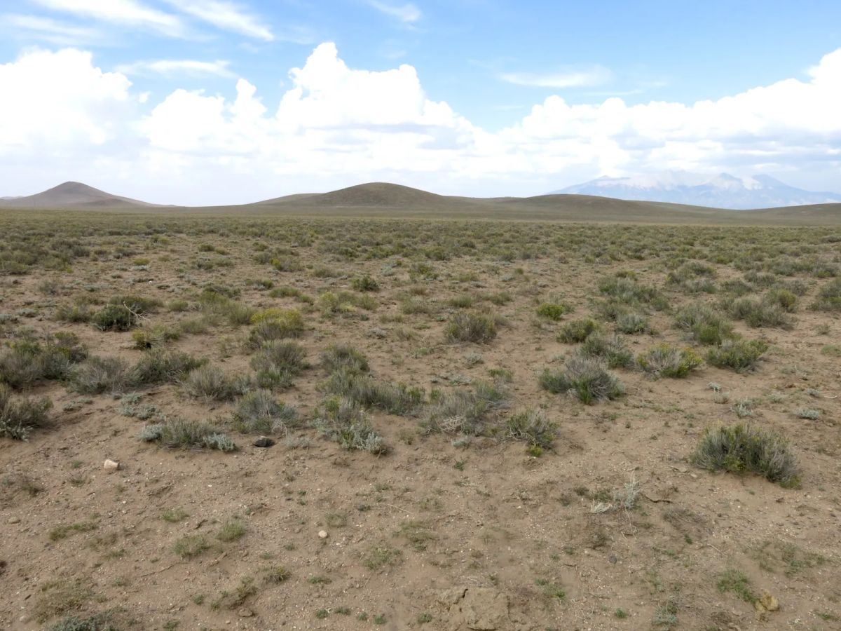 Decorative background for County Maintained Road image 9