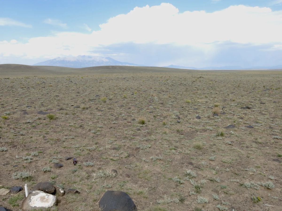 Decorative background for County Maintained Road image 10