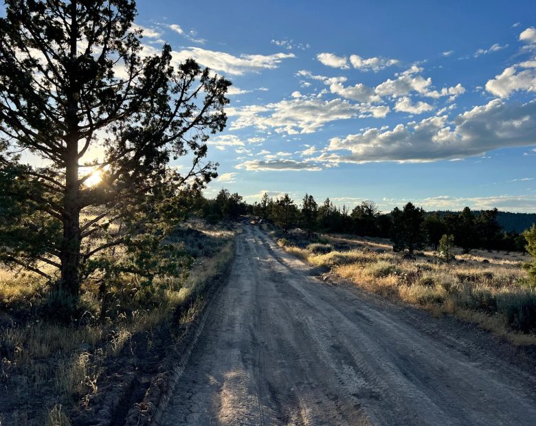 Level Property with Trees near town of Dorris in Siskiyou County, CA