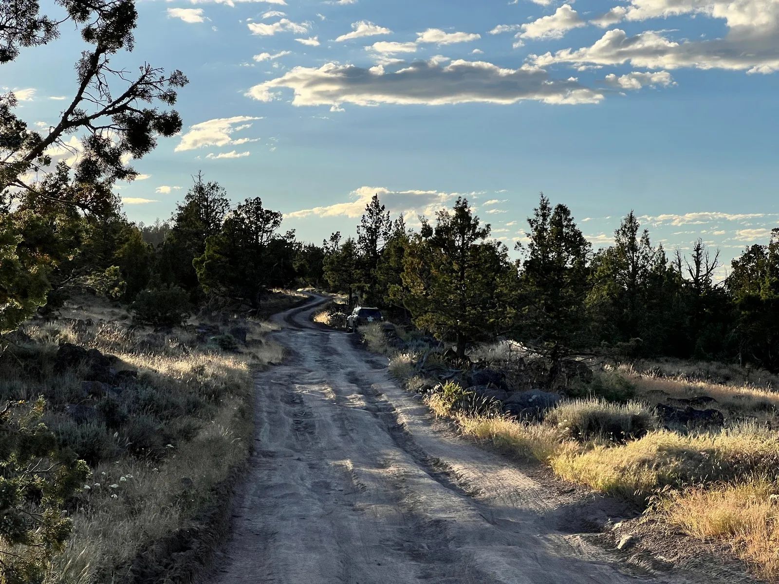 Level Property with Trees near town of Dorris in Siskiyou County, CA