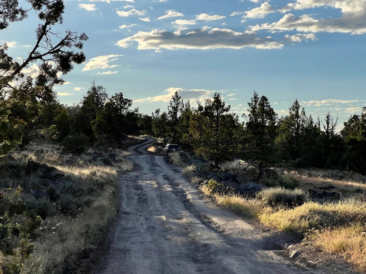 Level Property with Trees near town of Dorris - Image 2