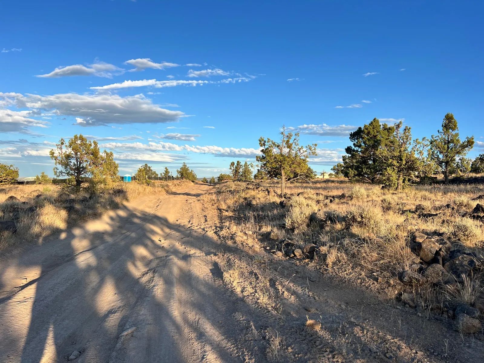 Level Property with Trees near town of Dorris in Siskiyou County, CA