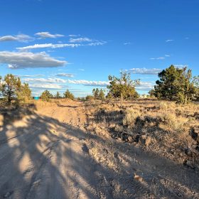 Level Property with Trees near town of Dorris in Siskiyou County, CA