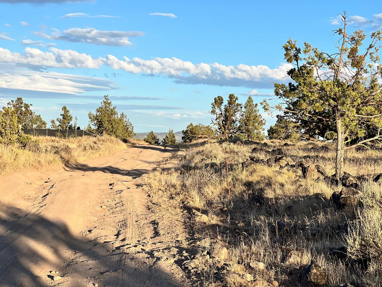 Level Property with Trees near town of Dorris in Siskiyou County, CA