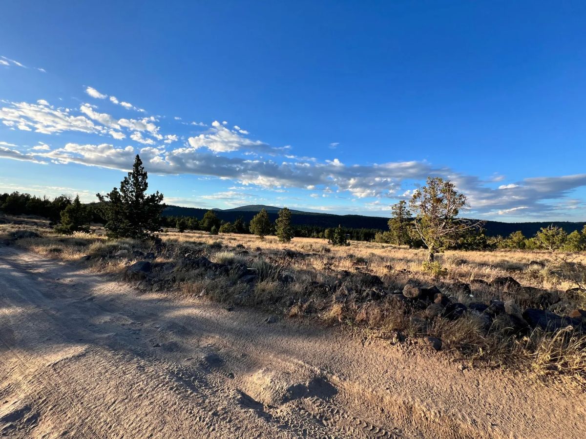 Decorative background for Level Property with Trees near town of Dorris image 13