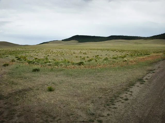 Corner Lot, Pastoral Setting in Park County, CO