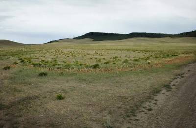 Corner Lot, Pastoral Setting