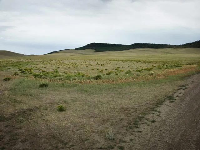 Corner Lot, Pastoral Setting in Park County, CO