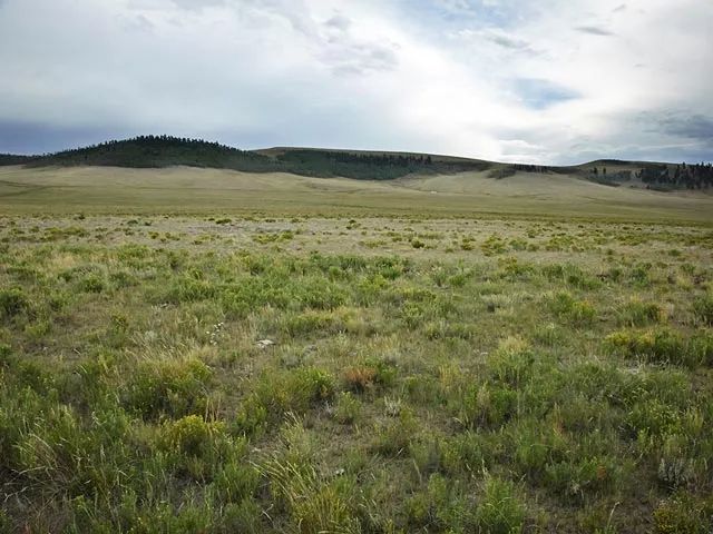 Corner Lot, Pastoral Setting in Park County, CO