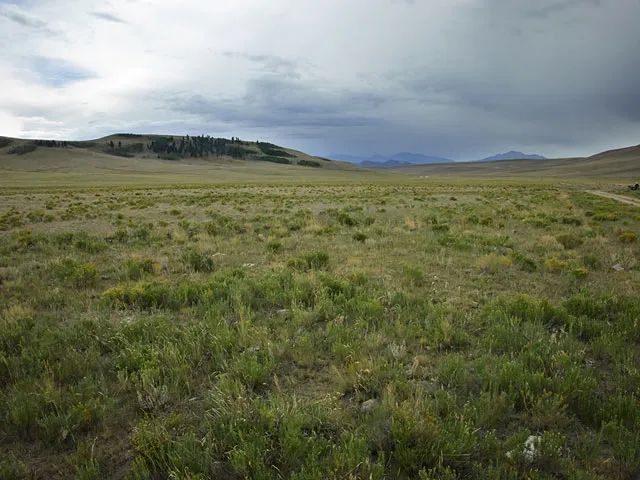 Corner Lot, Pastoral Setting - Image 3