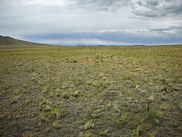 Corner Lot, Pastoral Setting - Image 4