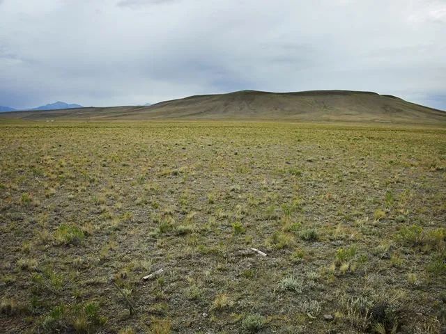 Decorative background for Corner Lot, Pastoral Setting image 5