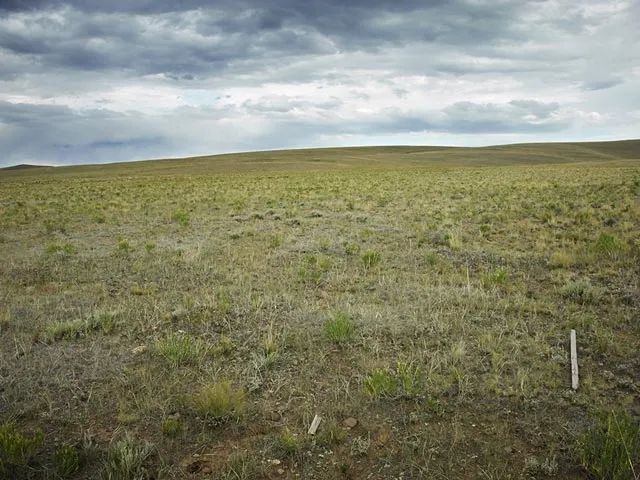 Decorative background for Corner Lot, Pastoral Setting image 6