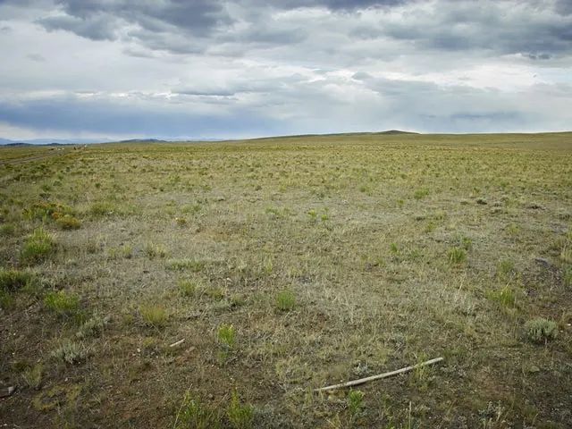 Decorative background for Corner Lot, Pastoral Setting image 7