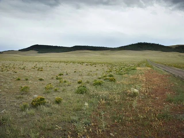 Decorative background for Corner Lot, Pastoral Setting image 8