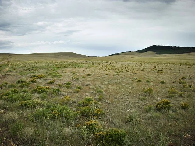 Decorative background for Corner Lot, Pastoral Setting image 9