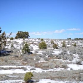 Famous New Mexico Night Sky in Cibola County, NM