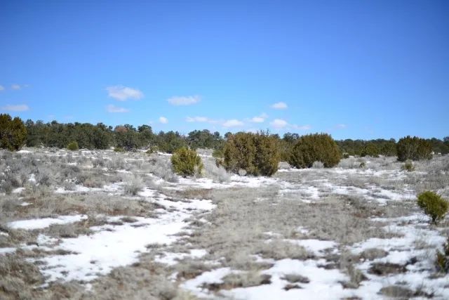 Decorative background for Famous New Mexico Night Sky image 5