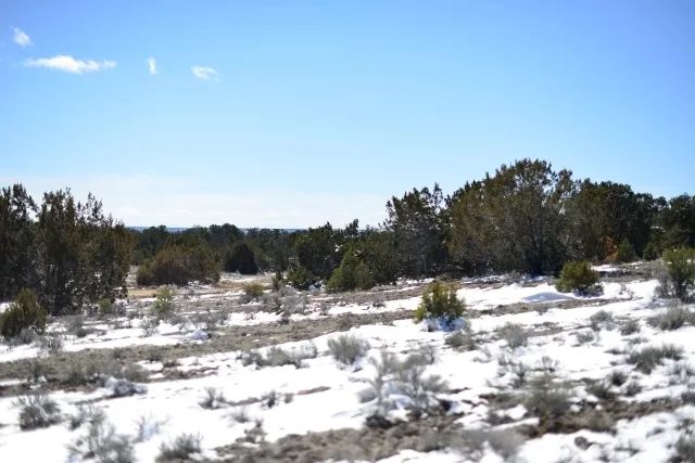 Decorative background for Famous New Mexico Night Sky image 8