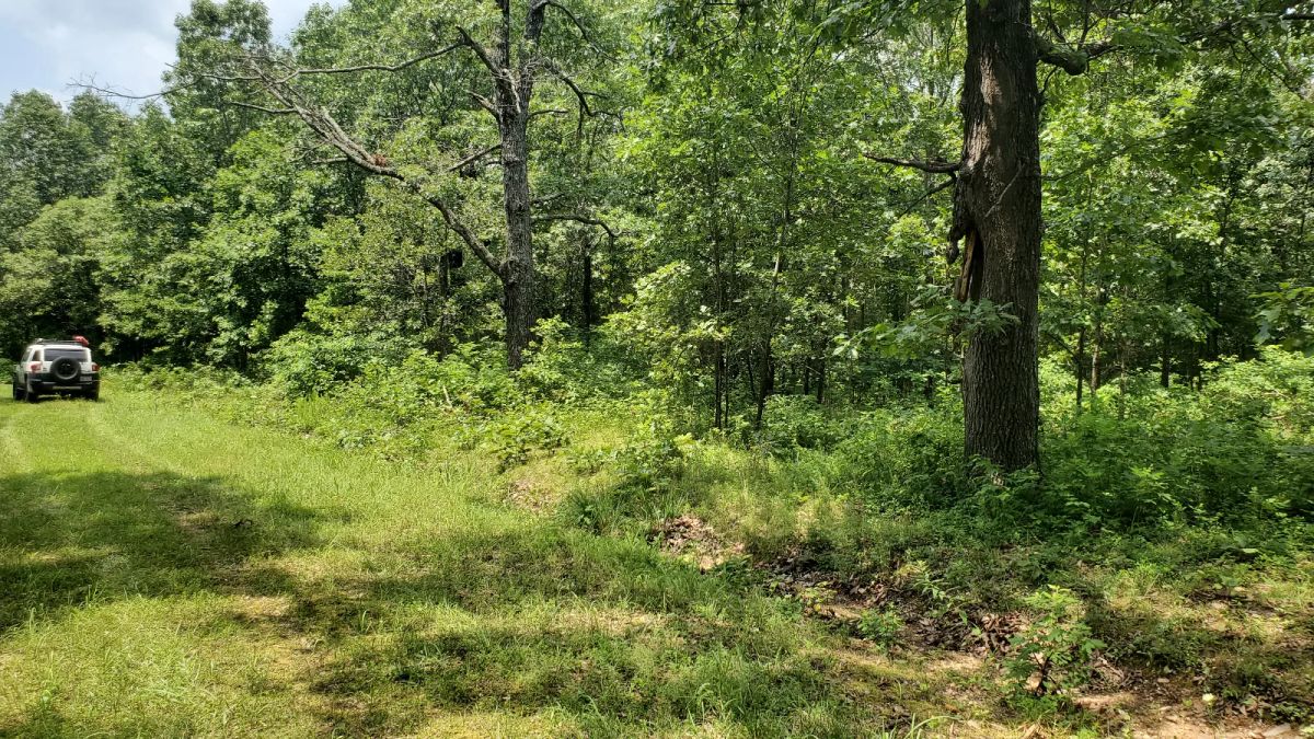 Two Properties Included, Private Area - Main image
