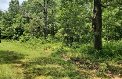 Two Properties Included, Private Area