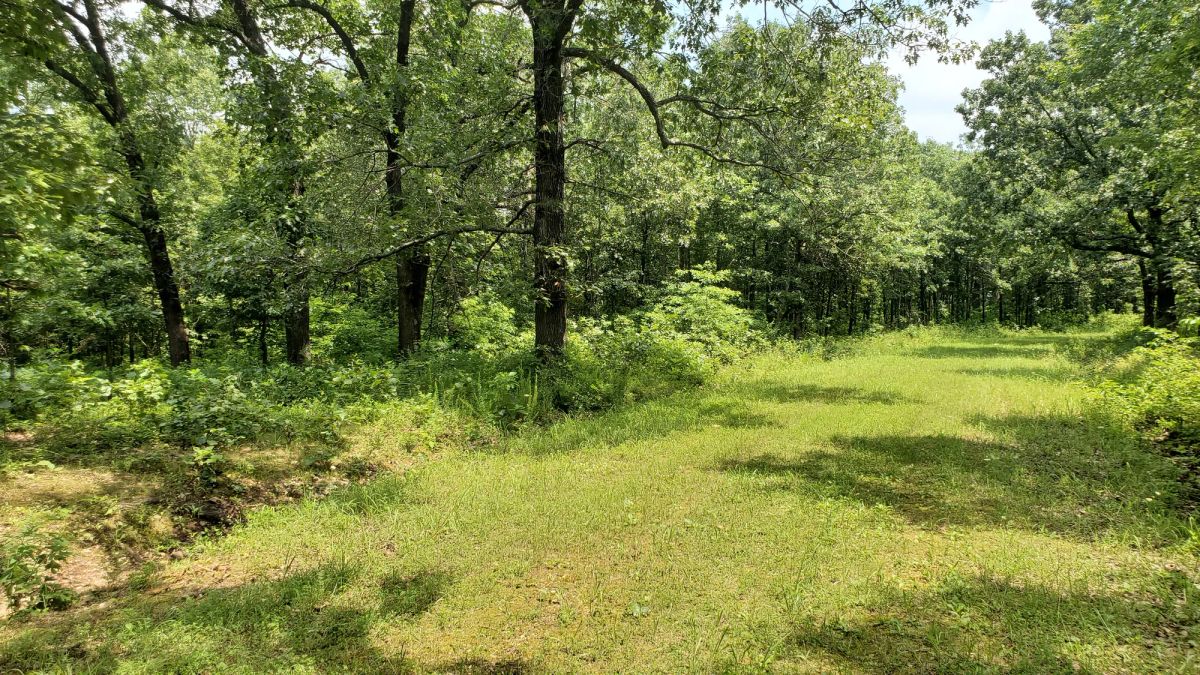 Two Properties Included, Private Area - Image 2