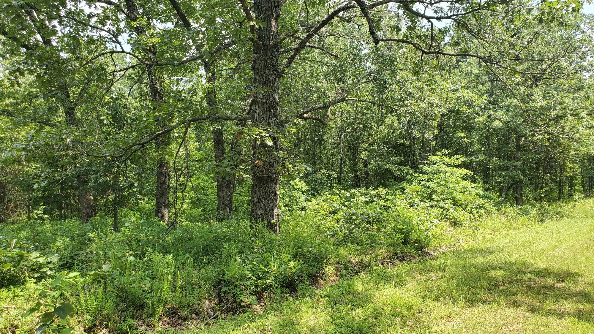 Two Properties Included, Private Area in Benton County, MO