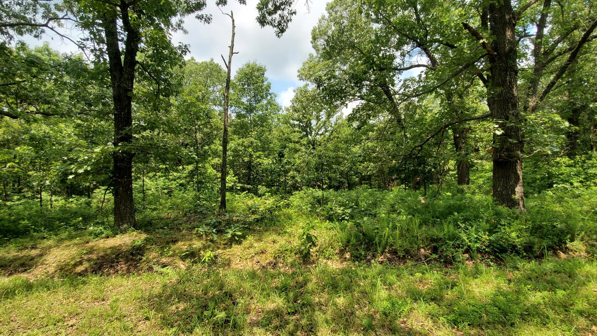 Two Properties Included, Private Area in Benton County, MO