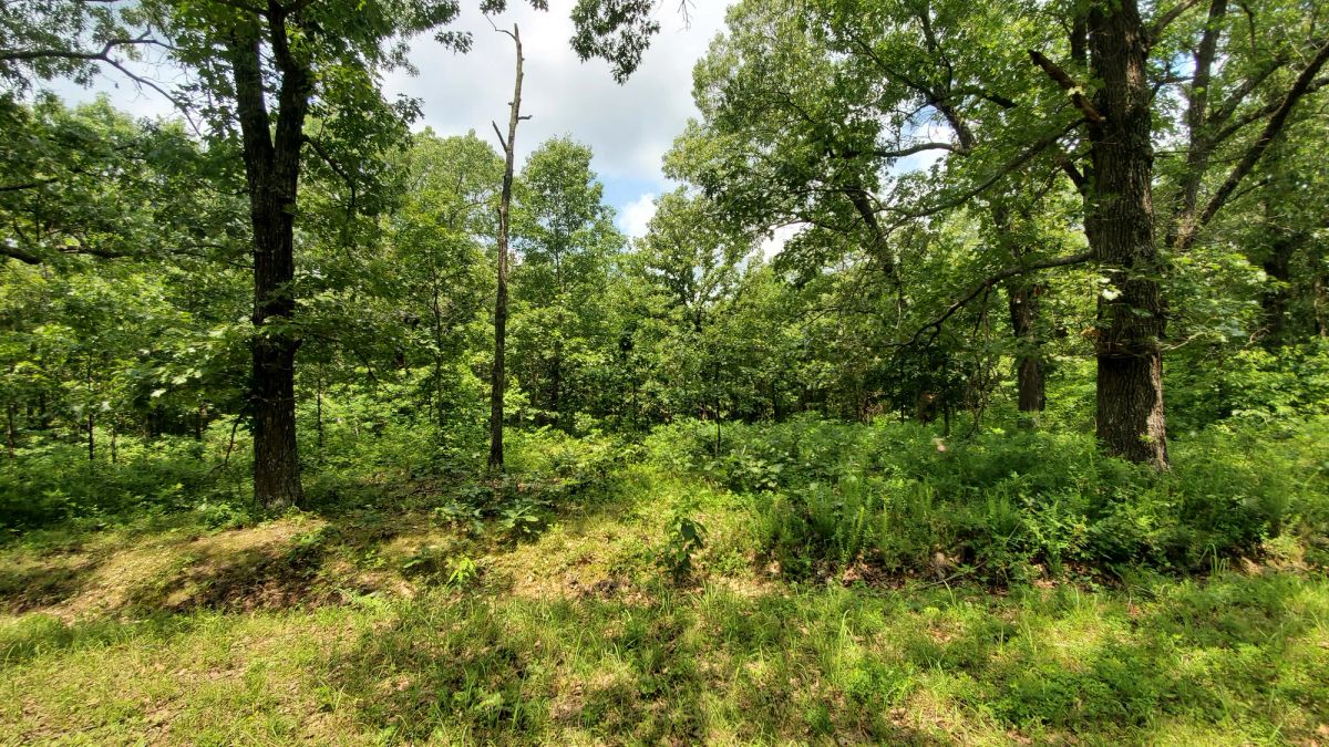 Two Properties Included, Private Area - Image 4