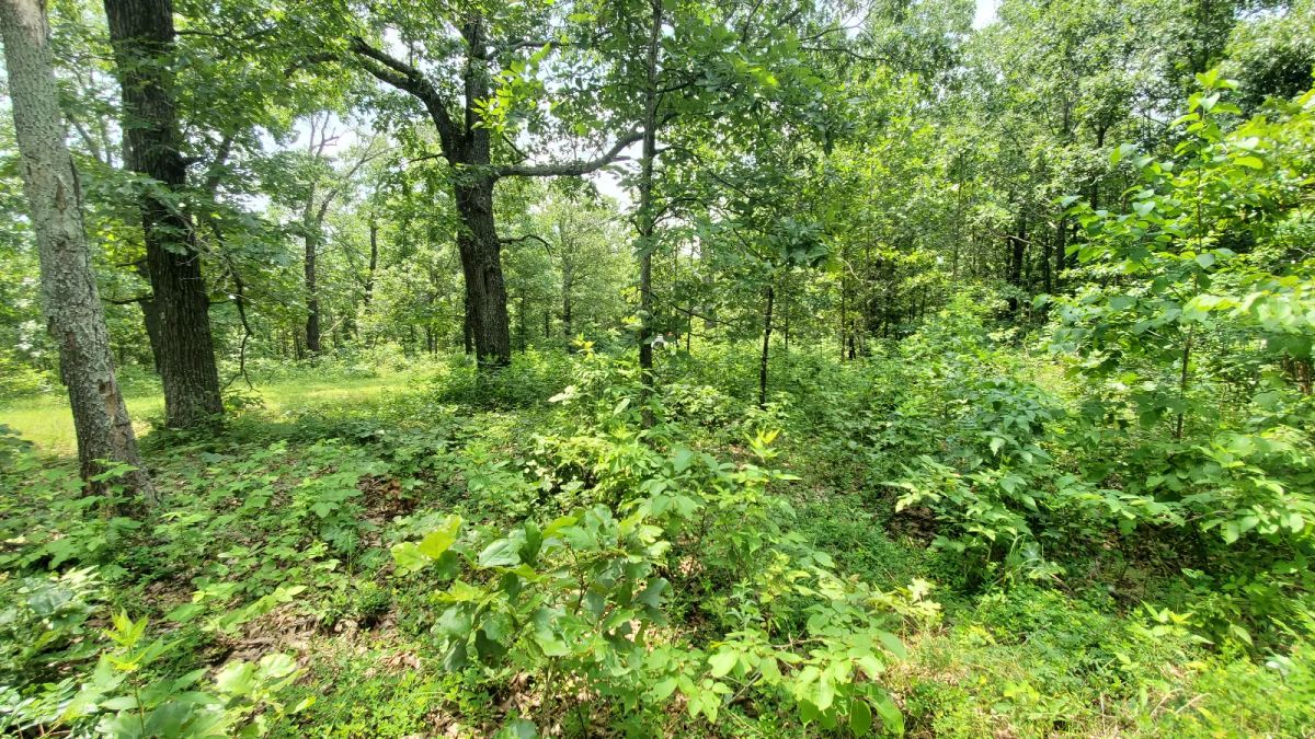 Decorative background for Two Properties Included, Private Area image 6