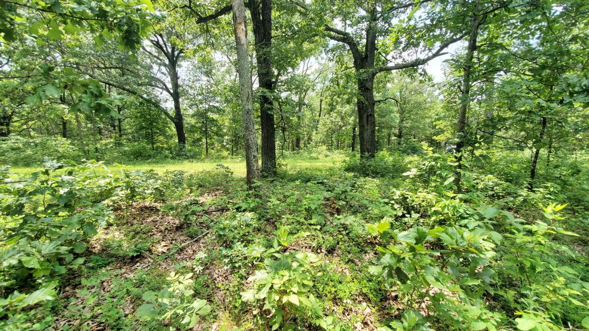 Decorative background for Two Properties Included, Private Area image 7