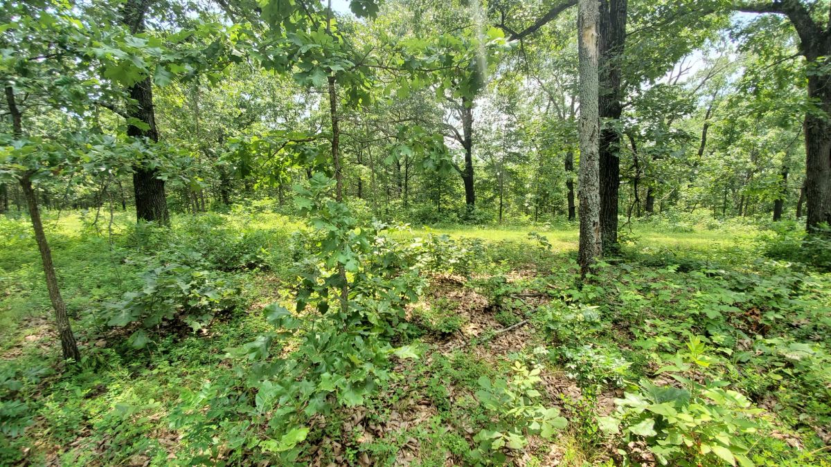 Decorative background for Two Properties Included, Private Area image 8