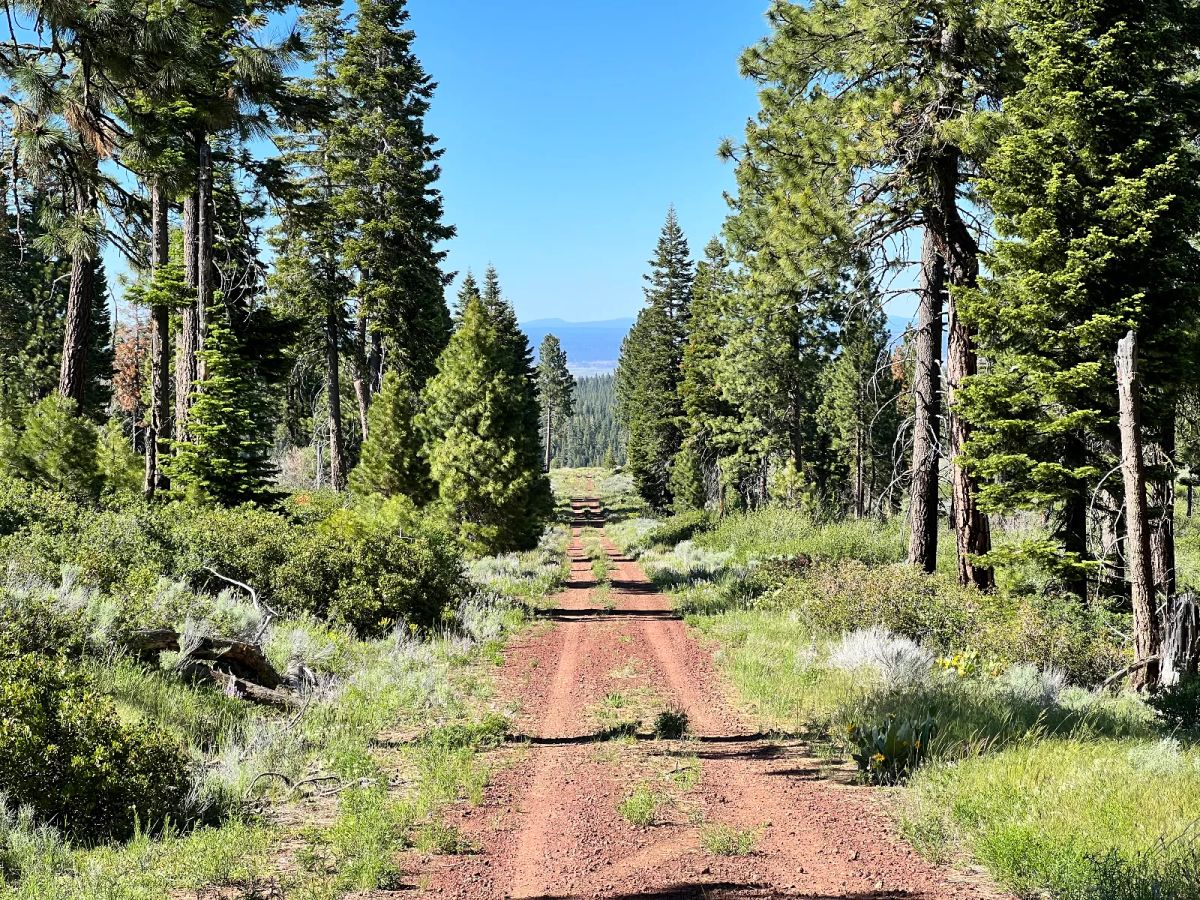 Great View Property - Main image