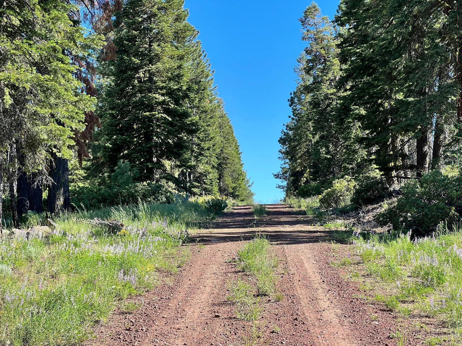 Great View Property in Modoc County, CA