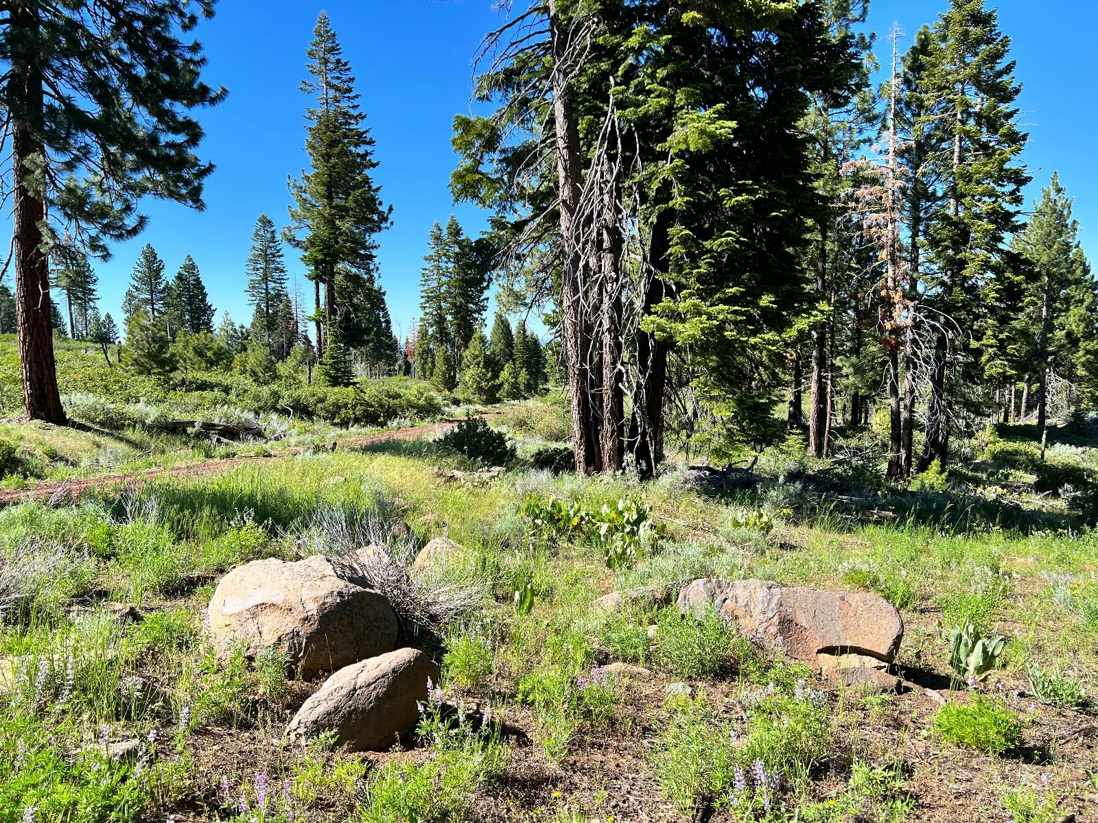 Great View Property in Modoc County, CA