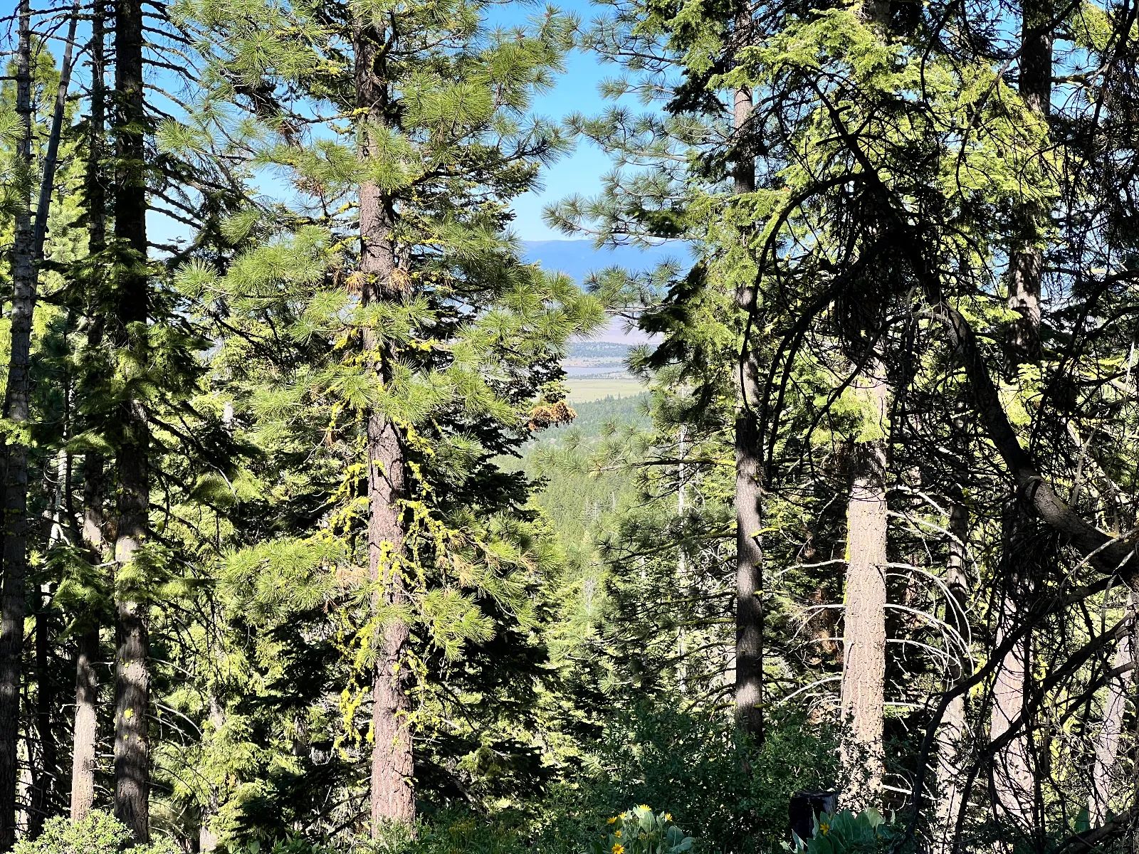 Great View Property in Modoc County, CA