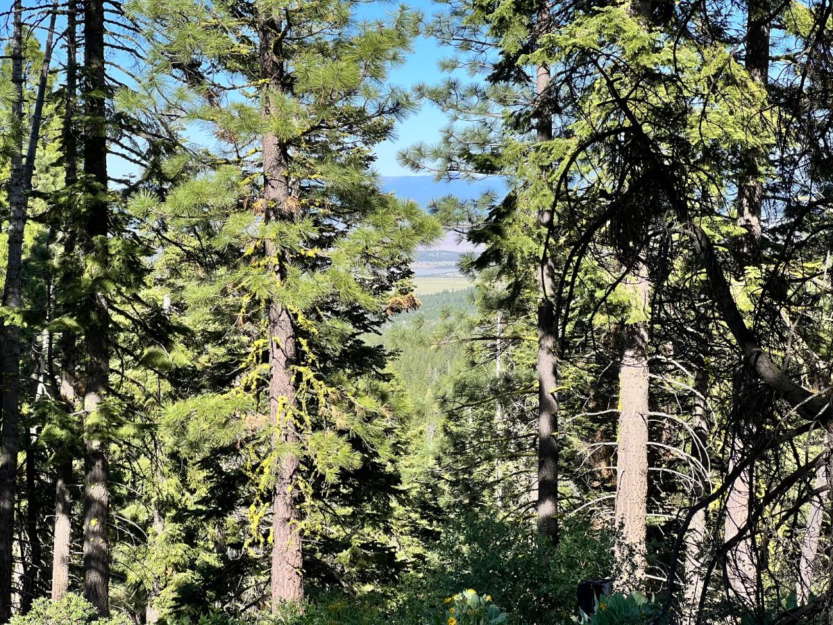 Great View Property - Image 4