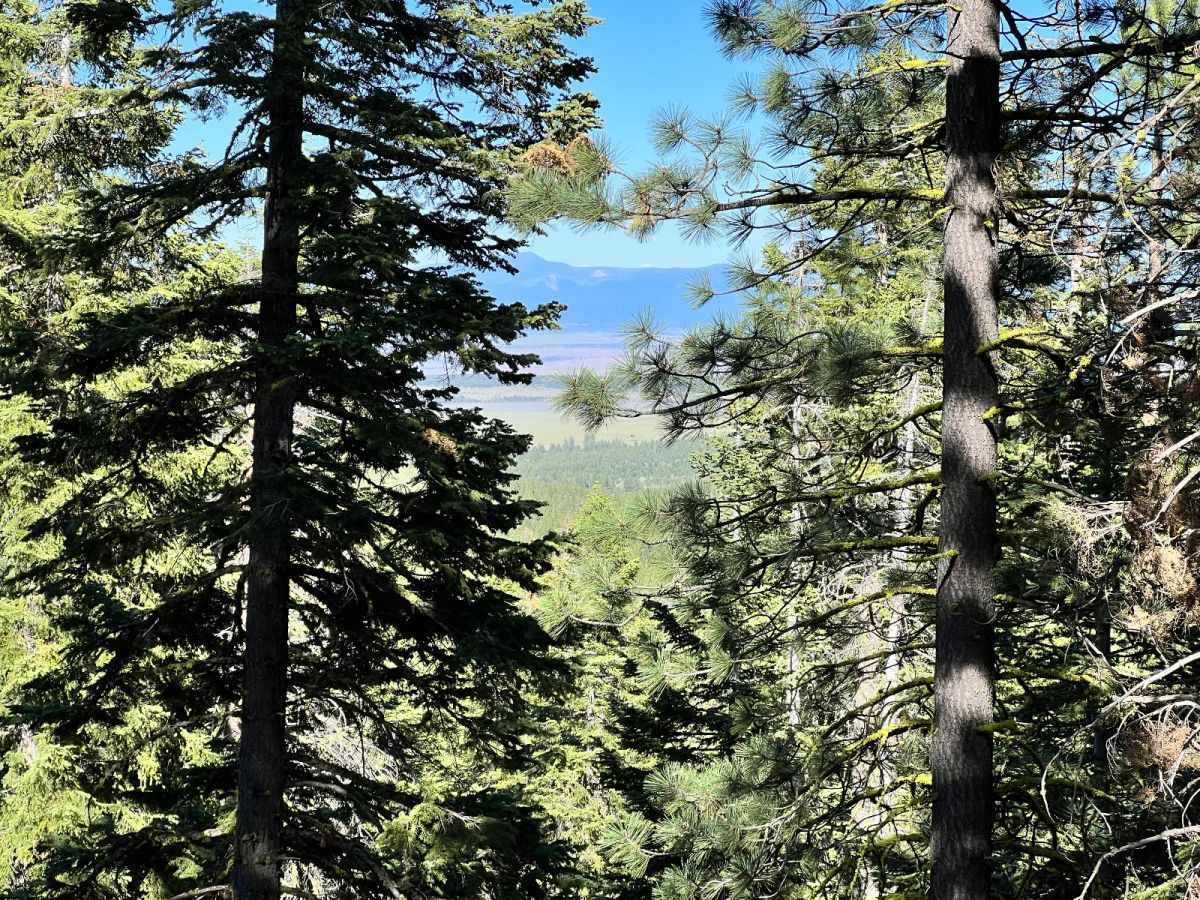 Decorative background for Great View Property image 7