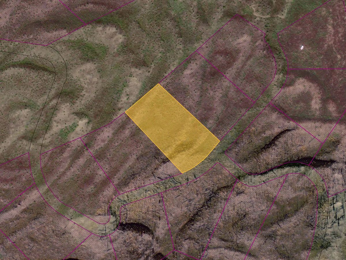 Decorative background for 4.8 Acres near Dune Lake image 14