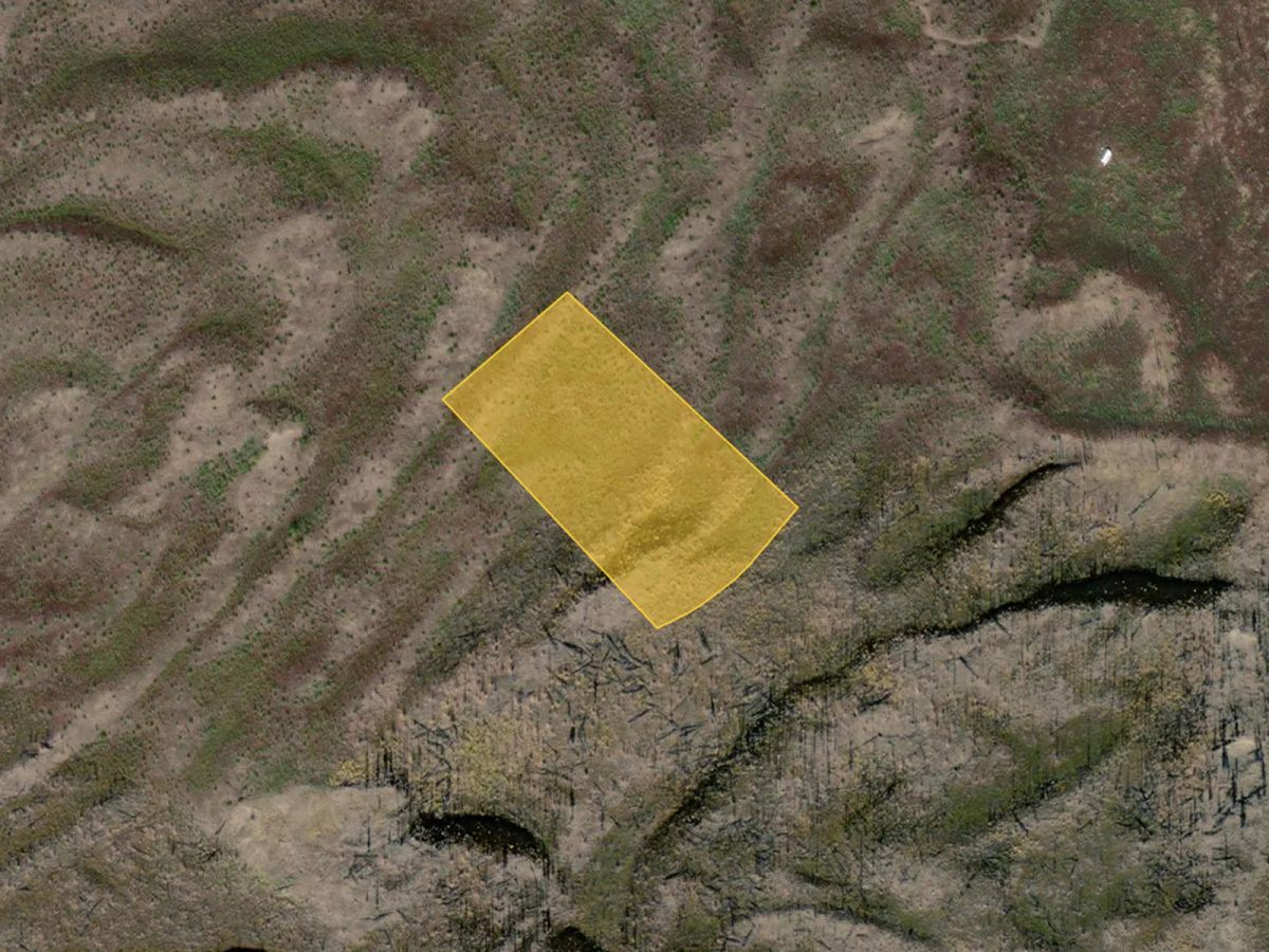 Decorative background for 4.8 Acres near Dune Lake image 22