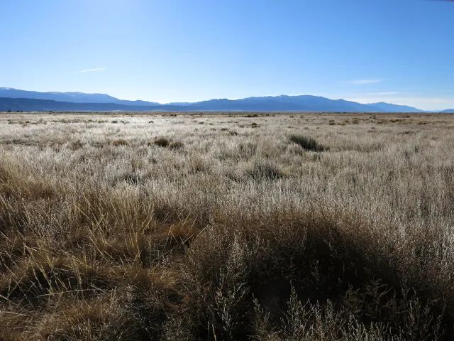 Huge parcel, Level with Great Views in Costilla County, CO