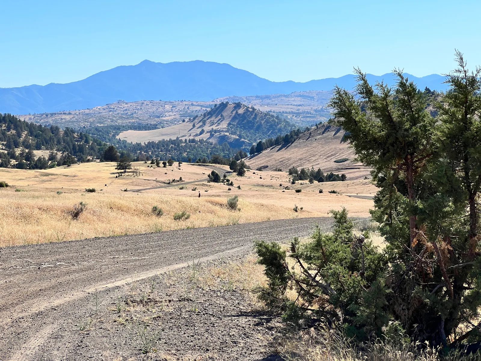 Level Property, Nice Views in Siskiyou County, CA