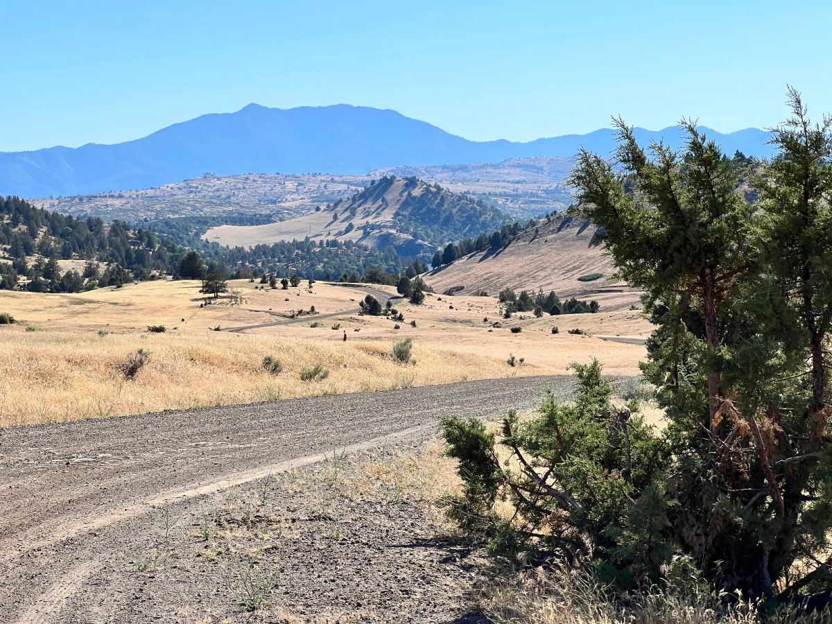 Level Property, Nice Views - Main image