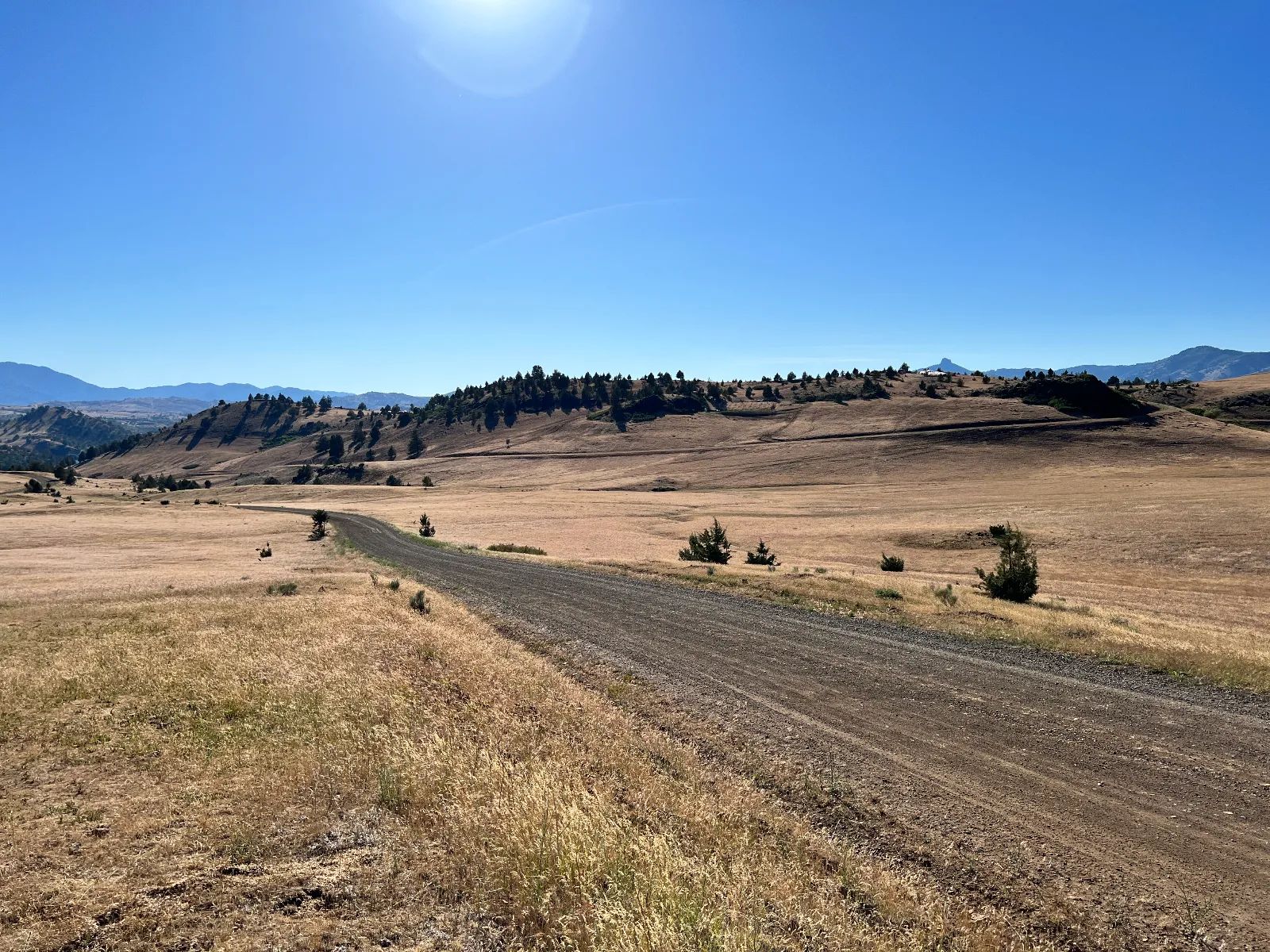 Level Property, Nice Views in Siskiyou County, CA