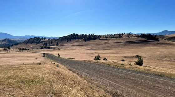 Level Property, Nice Views in Siskiyou County, CA