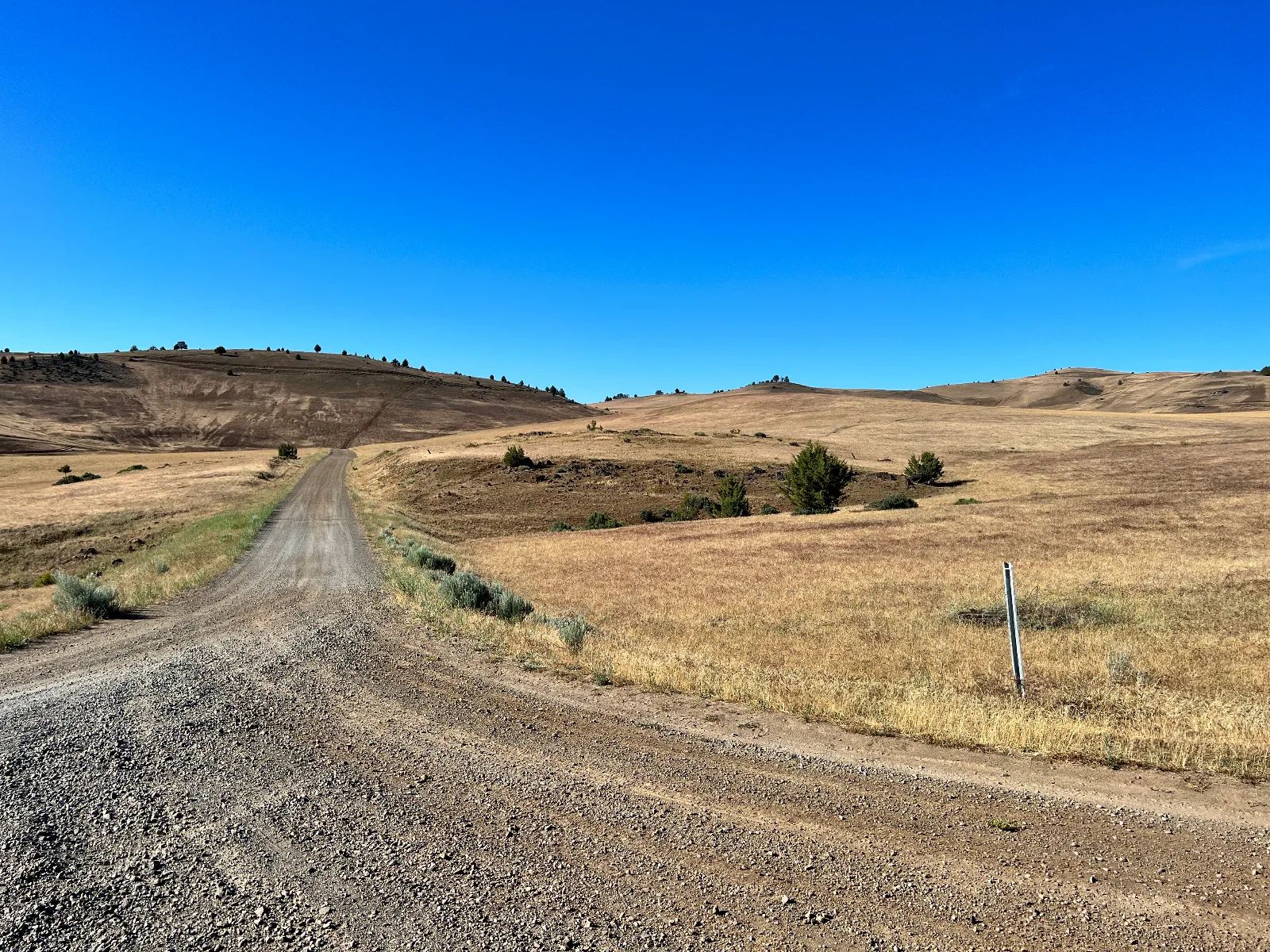 Level Property, Nice Views in Siskiyou County, CA